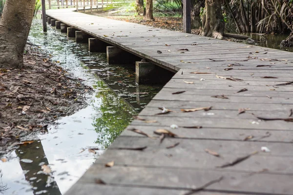 Wooden walkway — Stock Photo, Image