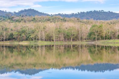 Dağlar ve yemyeşil tropikal ormanlar