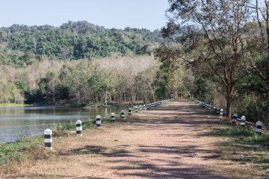 trafik direği, Yol, Dağlar ve yemyeşil tropikal ormanlar