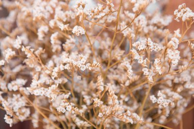 Buket Beyaz Statik çiçekler