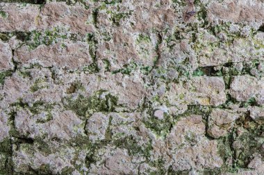 Eski tuğla duvar ve liken beton çatlak 