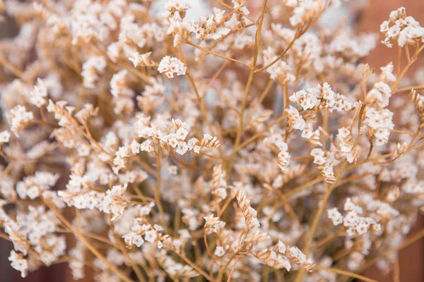 Buket Beyaz Statik çiçekler