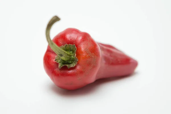 Närbild Paprika Vit Bakgrund — Stockfoto