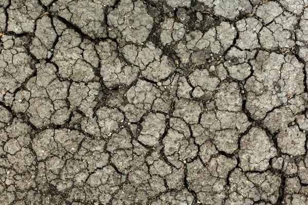 Ground Cracked Because Global Warming — Stock Photo, Image