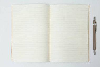 Kalemin üst görünümü, beyaz arkaplanda dizüstü bilgisayar