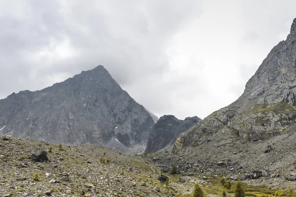 Yol. Peramidal şekilli yüksek dağ. Dağların eteklerinde bir sürü parçalanan taş var. Genç kozalaklı taşlar arasında büyür. Eğim nadir otlarla büyümüş. Altay'ın doğası.