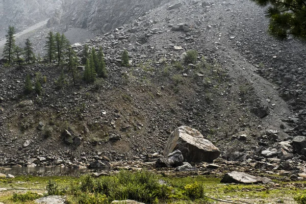 Altay Dağı. Dağların eteklerinde bir sürü parçalanan taş var. Taşların arasında nadir ağaçlar yetişir. İnce küçük ladin ağaçları bir yamaçta yetişir. Dağlarda eteklerinde sakin bir nehir akar.