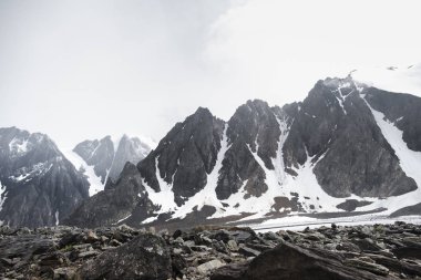 Altay dağlarının yükseklerinde, Altay topraklarının doğasına yapılan turistik bir gezide dağların keskin zirvelerini karda görebilirsiniz. Dağların eteklerinde bir buzul yatıyor. 