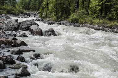 Fırtınalı nehir yatağı büyük taşlarla kaplı. Kozalaklı ağaçlar çim ve çalılar kıyıda yetişir. Kayalık dip. Güçlü bir dağ buzlu suyu akıntısı. Altay Dağları'nın doğası.