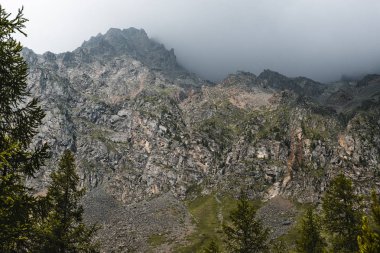 Konveks taşlarla ışıklı dağ yamacı. Keskin zirveler aşılmaz sisi saklamaya başlar. Dağların eteklerinde uzun ağaçlar yetişir. Bir sürü ufalanmış taş yamaçlardan aşağı yuvarlandı. Altay'ın doğası. 