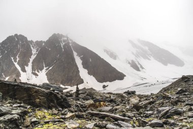 Altay Dağı. Üstünde çok sayıda taş var. Sisli bulutlarda dağ zirveleri. Altay kara doğası ile turistik bir gezi yüksek karla kaplı dağların ve bir buzul güzel manzarası.