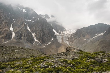 Uçurum küçük taşlarla kaplı, çiçekli çimler yetişiyor. Buzulun ve karla kaplı keskin dağların manzarası açılır, zirveleri kabuğu nu gizler. Altay Dağları'nın el değmemiş doğası.