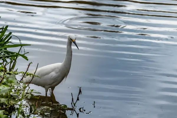 Fischerei — Stockfoto