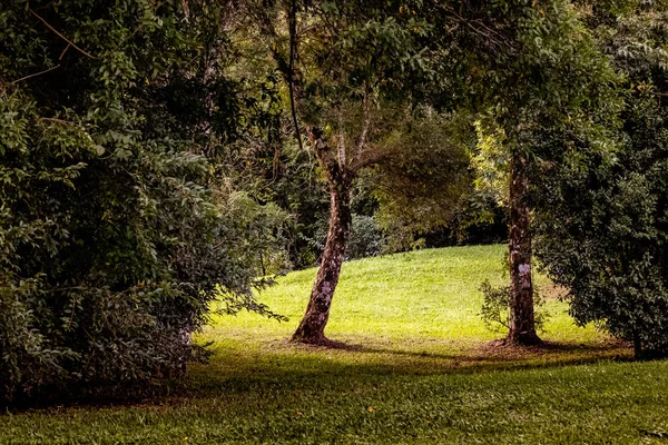 Portal da Luz — Fotografia de Stock