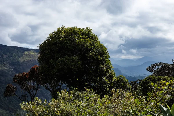 Vista Los Alrededores Desde Pico Adán Sri Lanka — Foto de Stock