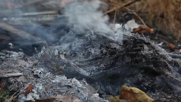 Burning Garbage Dump Pollution Indonesia — Stock Video