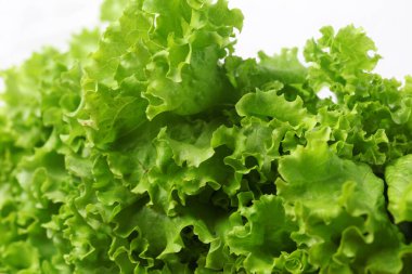 Beyaz arka planda izole edilmiş taze marul yaprakları.