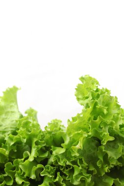 Beyaz arka planda izole edilmiş taze marul yaprakları.