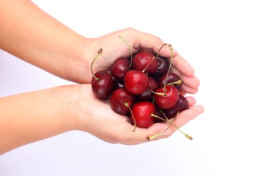 Elleri, beyaz kesimlerde izole edilmiş kırmızı kirazları tutuyor. Metin için kopyalama alanı olan böğürtlen. Beyaz üzerine izole edilmiş çeşitli taze yaz meyveleri..