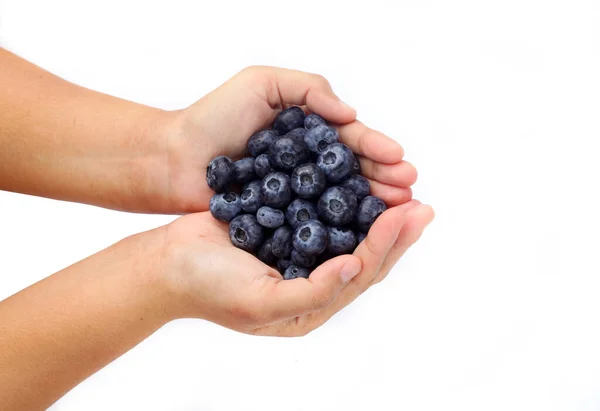 Hand Hält Frische Beerenheidelbeeren Auf Weißem Hintergrund Konzept Der Gesunden — Stockfoto