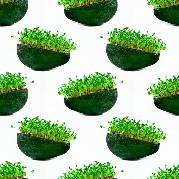 Frische grüne Wasserkresse in der Hälfte der Avocado auf weißem Hintergrund. Nahtloses Muster. Isoliert. Kreatives Ernährungskonzept, gesunde Ernährung, Gemüse, Bio-Gemüse, Mikrogemüse. Platz — Stockfoto