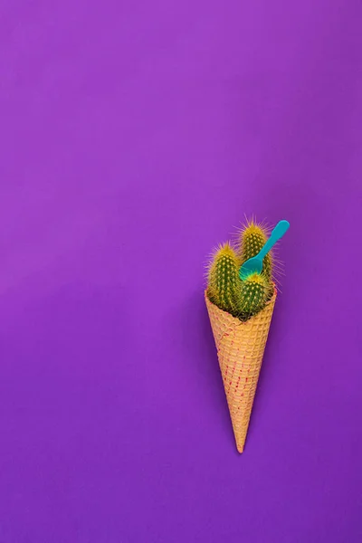 Kaktusy w kukurydzy na gofry, naśladowanie koncepcji lodów Zdjęcie Stockowe