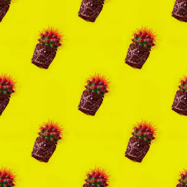 Seamless diagonal pattern with round cactus without pot. Trendy plant with sharp red needles with white roots in soil on bright yellow background, Creative concept. Dangerous, naked grower. Top view