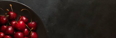 Uzun yatay afiş, içinde su damlaları olan olgun kirazlar, yanında koyu arkaplanda fotokopi alanı olan iki dut. Yatay olarak. Tatlı, tart, turta için tatlı malzeme. Organik yiyecekler