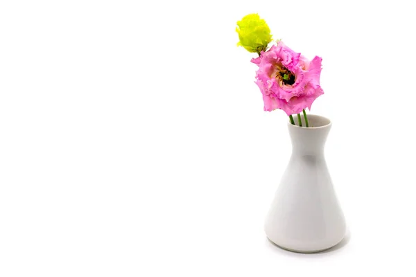 Eustome rose, lisianthus dans un vase blanc sur fond blanc espace libre pour le texte — Photo