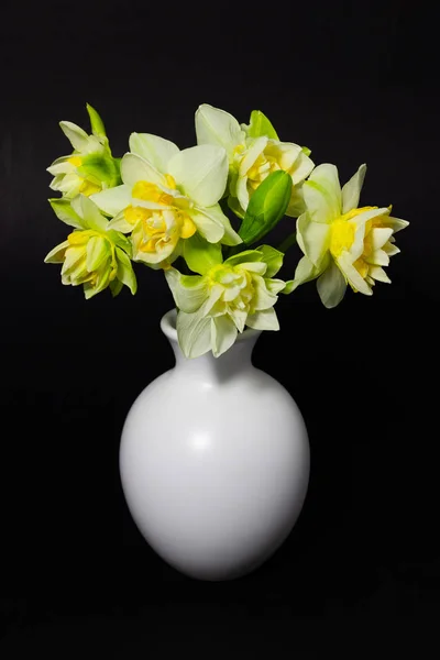 Narcisos frescos de primavera en un jarrón blanco sobre un fondo oscuro — Foto de Stock