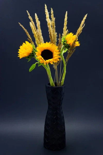 Helianthus, girasoles de color amarillo brillante con cereales en un jarrón negro sobre un fondo floral oscuro — Foto de Stock