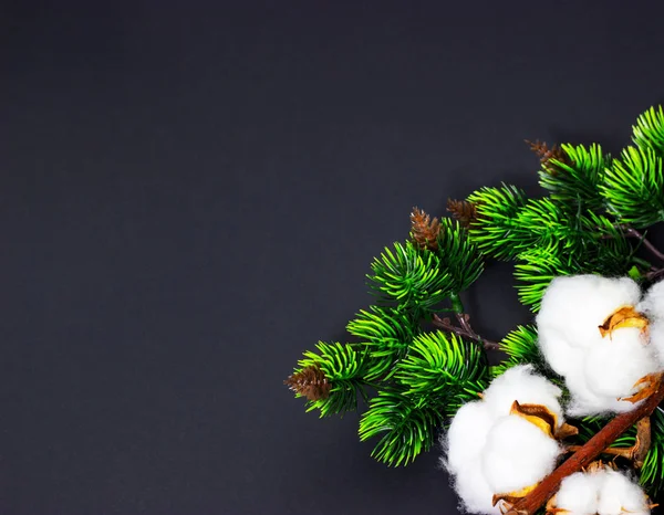 Fondo navideño con ramas de pino y algodón Espacio para texto —  Fotos de Stock