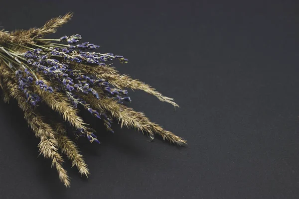 Bouquet of lavender and cereals on a dark background — Stock Photo, Image