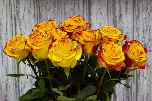 Жовті троянди в металевій вазі на дерев'яному фоні стіни — стокове фото