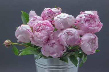 Bir vazo içinde pembe şakayık. Peonies pembe arka plan.