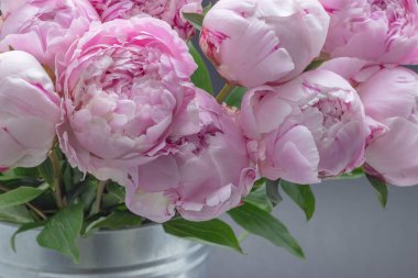 Bir vazo içinde pembe şakayık. Peonies pembe arka plan.