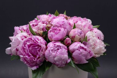 Koyu bir arka plan üzerinde bir şapka kutusunda Pembe şakayık.