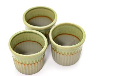 beyaz bir arka plan izole üzerinde saksı saksı yeşil