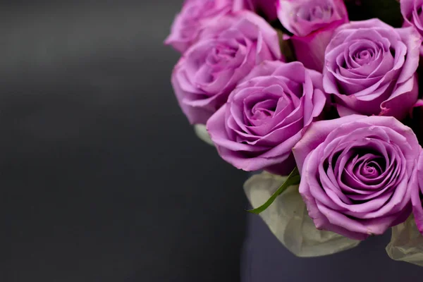 Троянди в капелюшній коробці на темному фоні ізольовані — стокове фото