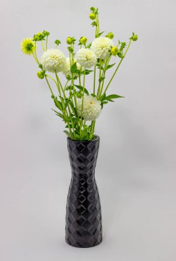 Koyu bir arka plan üzerinde vazo içinde beyaz dahlia. Koyu bir arka plan üzerinde beyaz dahlias çiçek Buket.