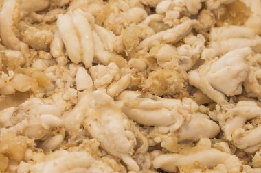 Kızarmış kalamar yumurta Delicious.