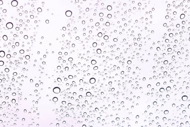 Arabanın ön camına yapışmış su damlacıkları.