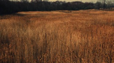 Rüzgarla en saf hava, sadece doğanın sesleri tarafından bozulan sessizlik