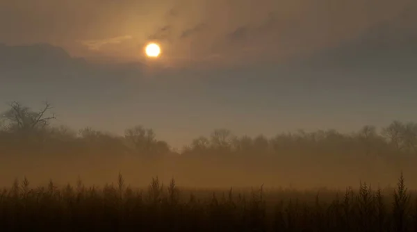 The purest air with the wind, the silence that is broken only by the voices of nature