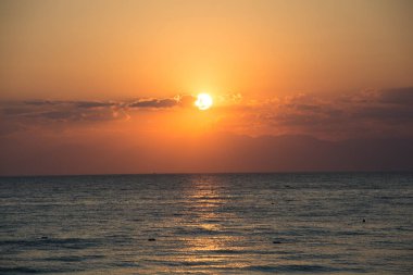 gün batımında deniz ve gökyüzü kırmızı ve pembe çiçekler