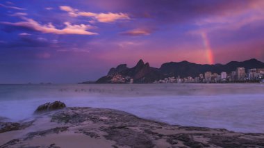 gün batımında deniz ve gökyüzü kırmızı ve pembe çiçekler