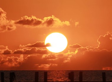 Bilirsin, sahilde gün batımı yürüyüşü.