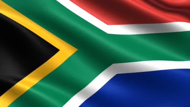 南非国旗 无缝循环与高度详细的织物纹理 4K分辨率 — 图库视频影像