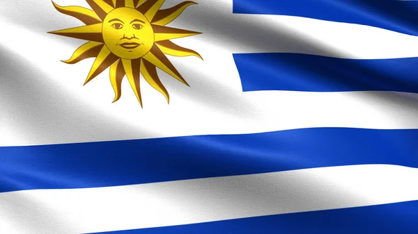 Uruguay Sjunker Med Viftande Tyg Konsistens — Stockfoto