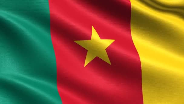 Realistic Flag Cameroon Seamless Looping Highly Detailed Fabric Texture Resolution — Stock Video